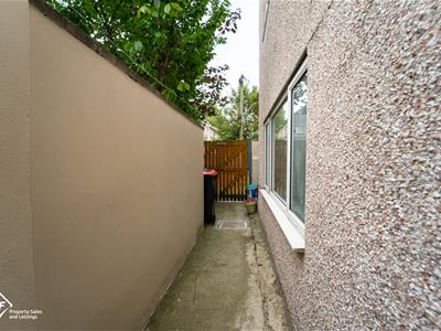 Picture 28